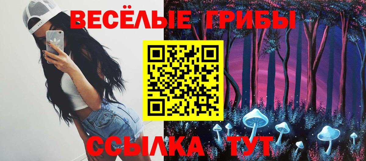 Псилоцибиновые грибы GOLDEN TEACHER Майский